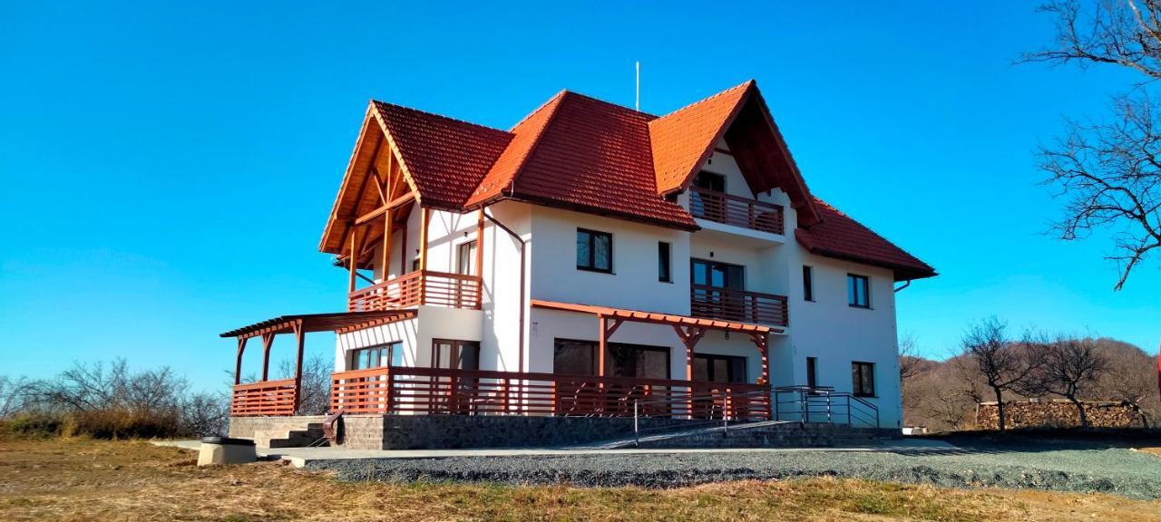 Bed and Breakfast Casa Comilor Surdesti  Exterior foto
