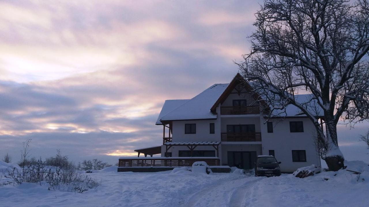 Bed and Breakfast Casa Comilor Surdesti  Exterior foto