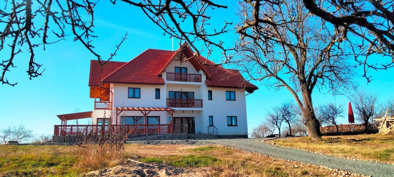 Bed and Breakfast Casa Comilor Surdesti  Exterior foto